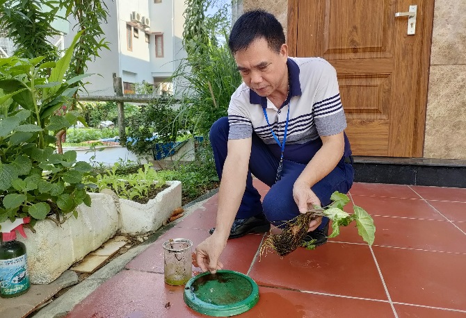 Giảm số ca mắc sốt xuất huyết, thủy đậu trên địa bàn thành phố