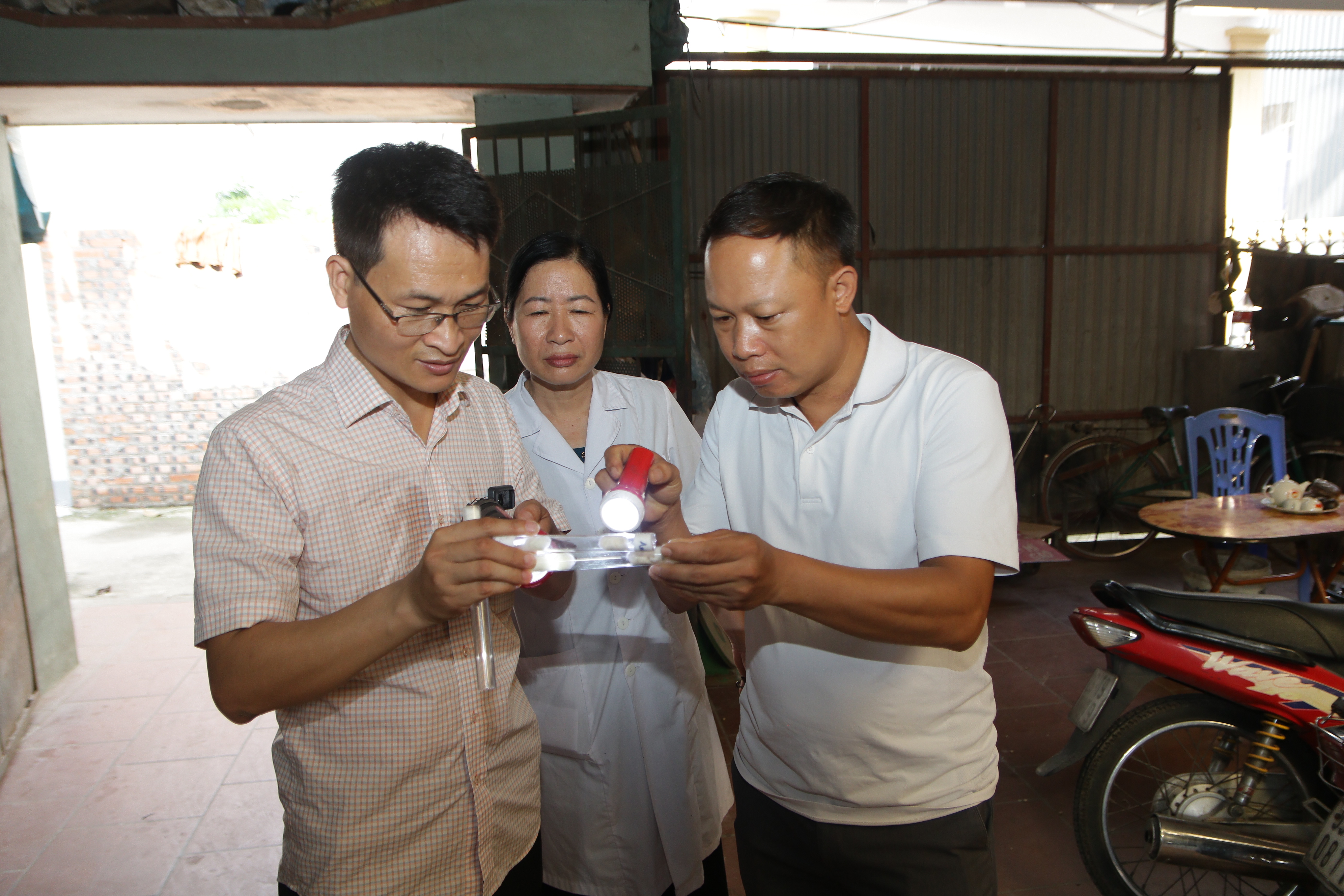 Tình hình dịch bệnh trên địa bàn thành phố Hà Nội từ ngày 23/1 đến 30/1