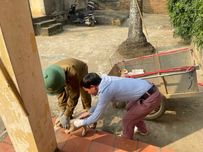 Chủ động giám sát tình hình bệnh dại trên người