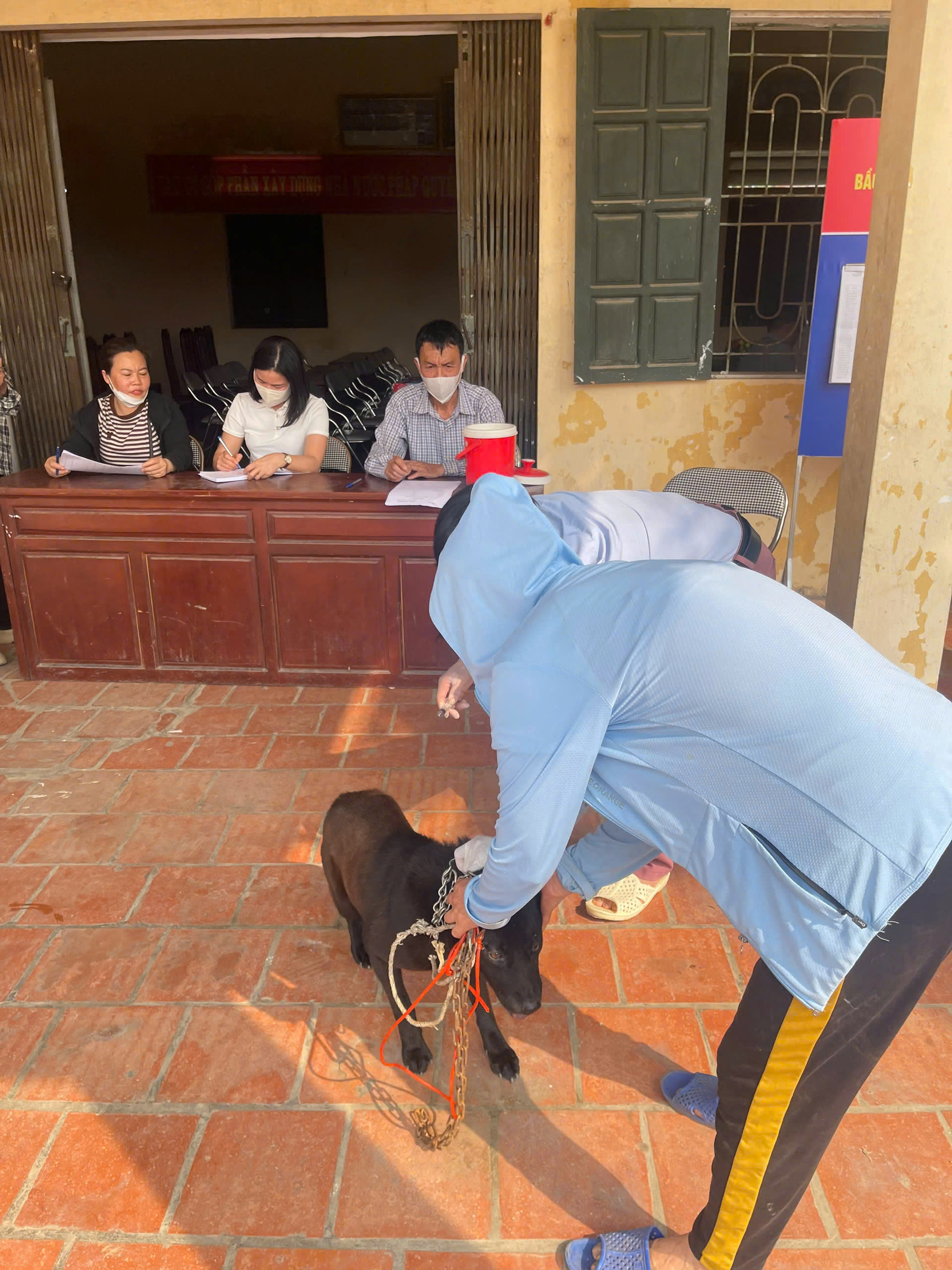 Tăng cường truyền thông nâng cao nhận thức của người dân về bệnh dại