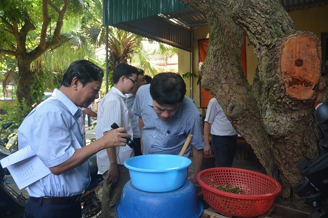 Sở Y tế kiểm tra công tác phòng chống dịch sốt xuất huyết tại huyện Thường Tín