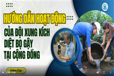 Hướng dẫn hoạt động đội xung kích diệt bọ gậy
